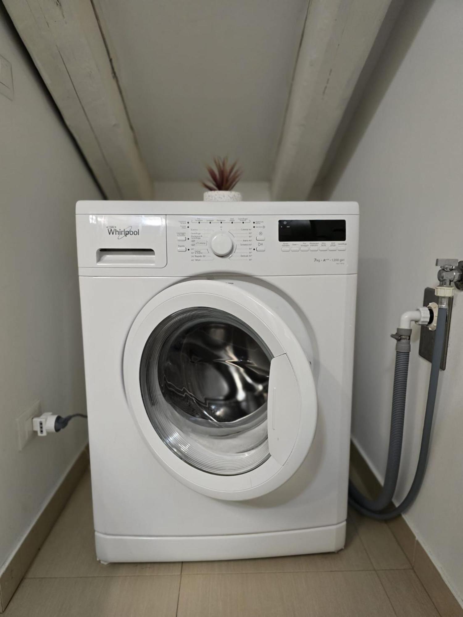 טריאסטה Mohho Suite מראה חיצוני תמונה